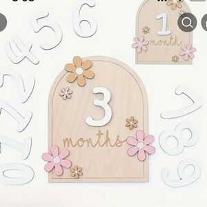 Wooden Monthly Milestone Sign with Changeable Numbers